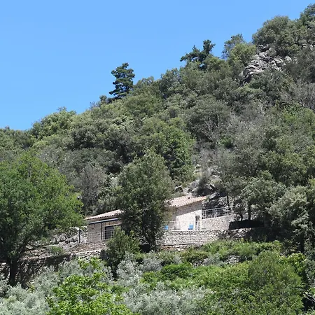 Ferienhaus Les Oliviers D'ardeche *